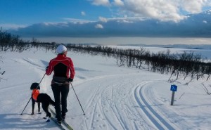 På ski (foto: Øystein Ruud)